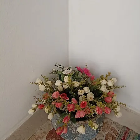 Casa Akira Margot Appartement